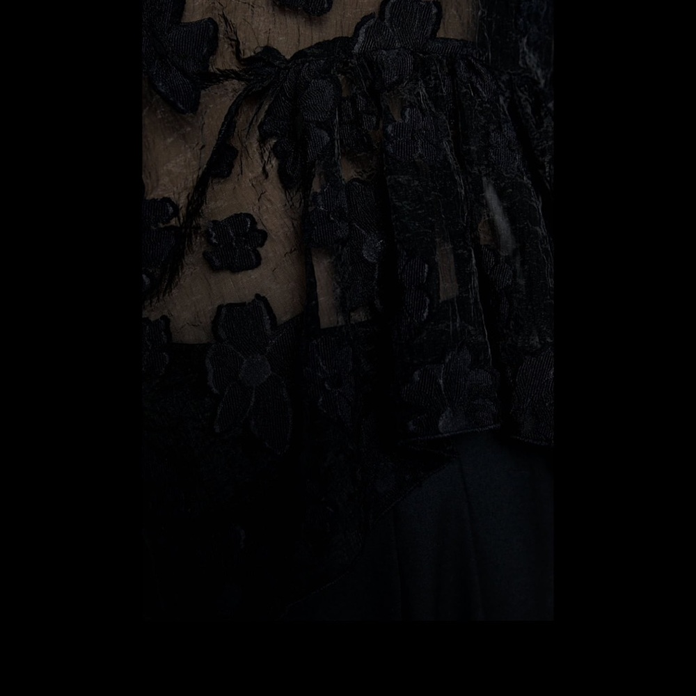 Zara Voluminous Organza Blouse - Picture 7 of 8